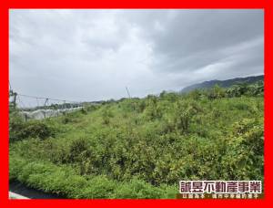 誠昱/山上果菜合作社平坦.